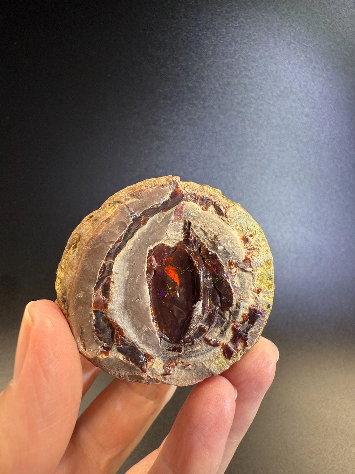Mezezo Chocolate Opal