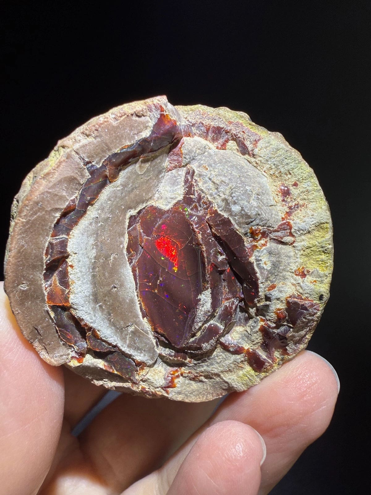 Mezezo Chocolate Opal