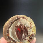 Mezezo Chocolate Opal