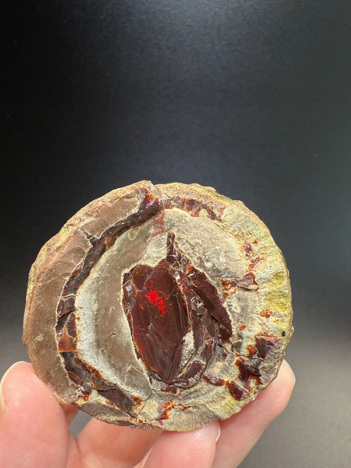 Mezezo Chocolate Opal
