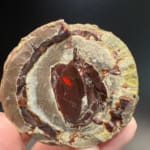 Mezezo Chocolate Opal
