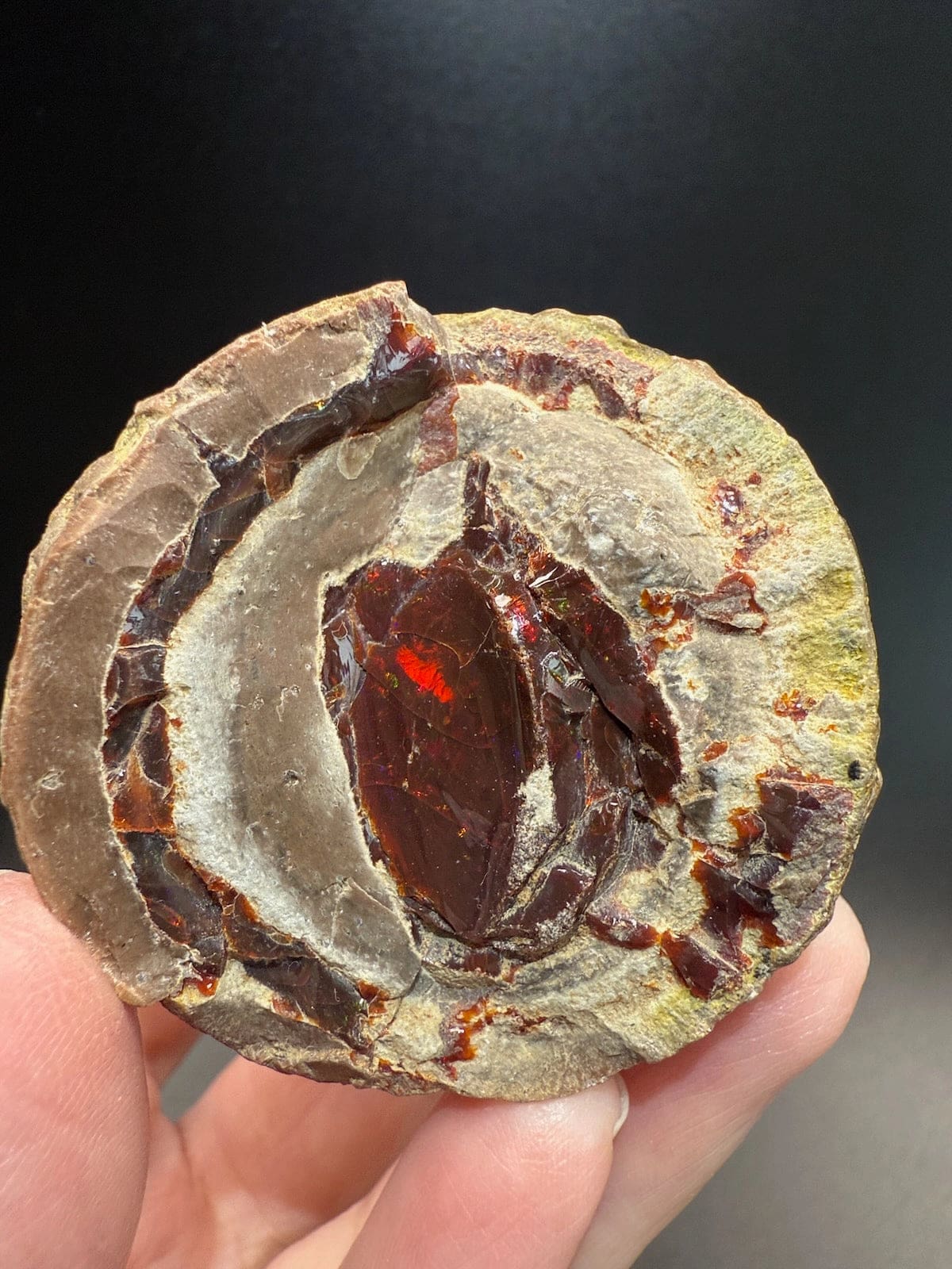 Mezezo Chocolate Opal