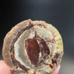 Mezezo Chocolate Opal