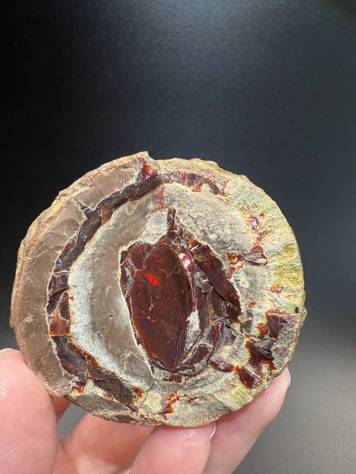 Mezezo Chocolate Opal
