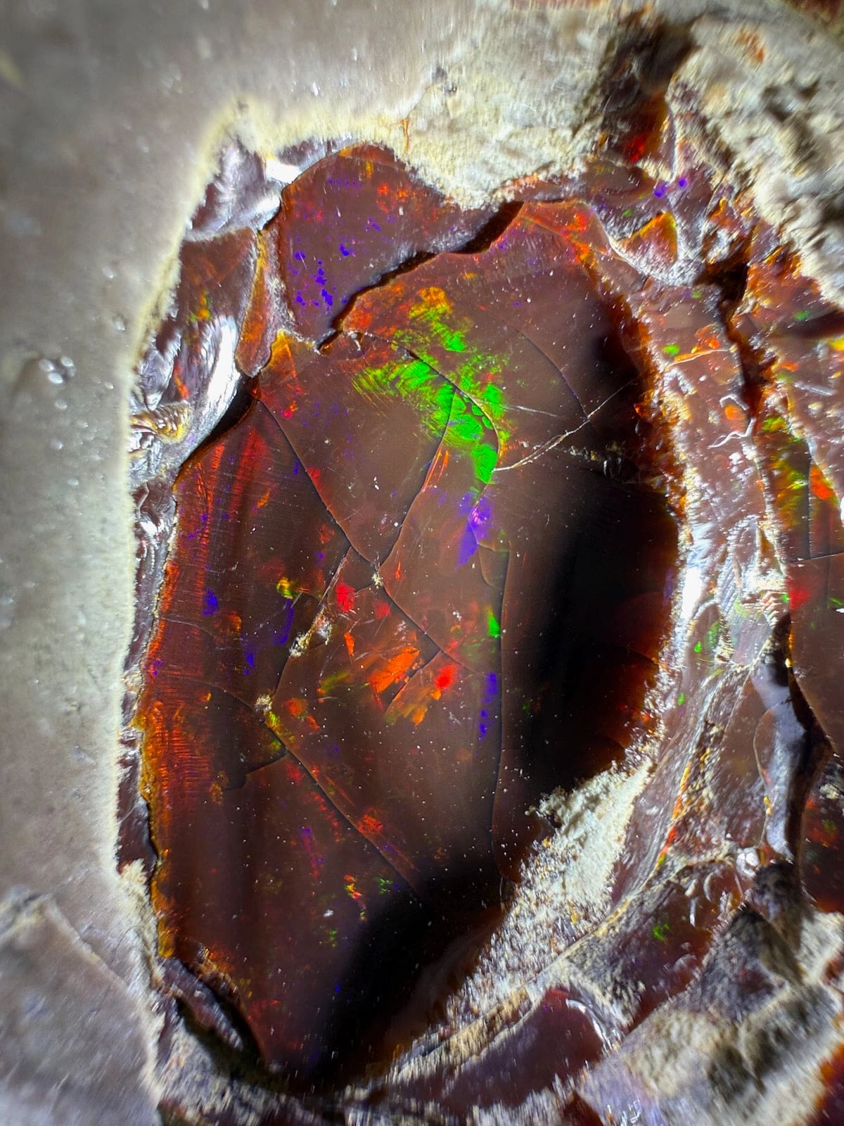 Mezezo Chocolate Opal