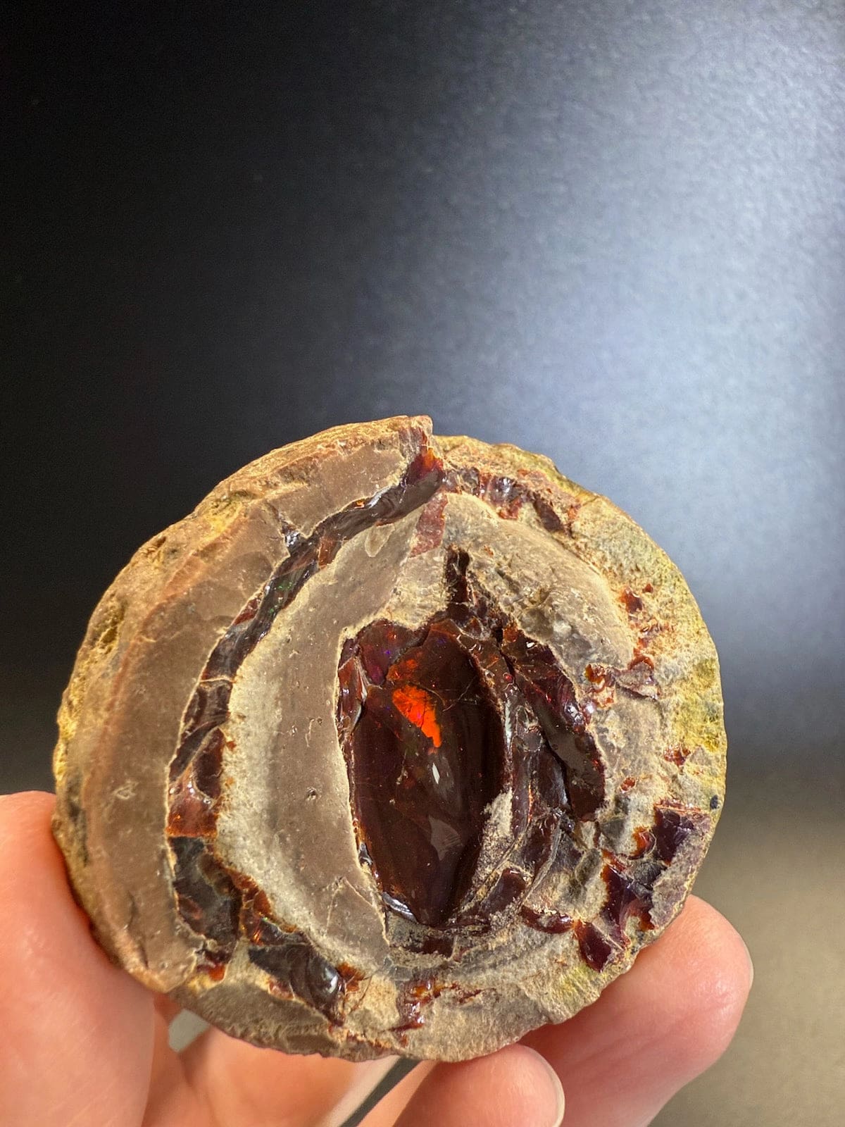 Mezezo Chocolate Opal