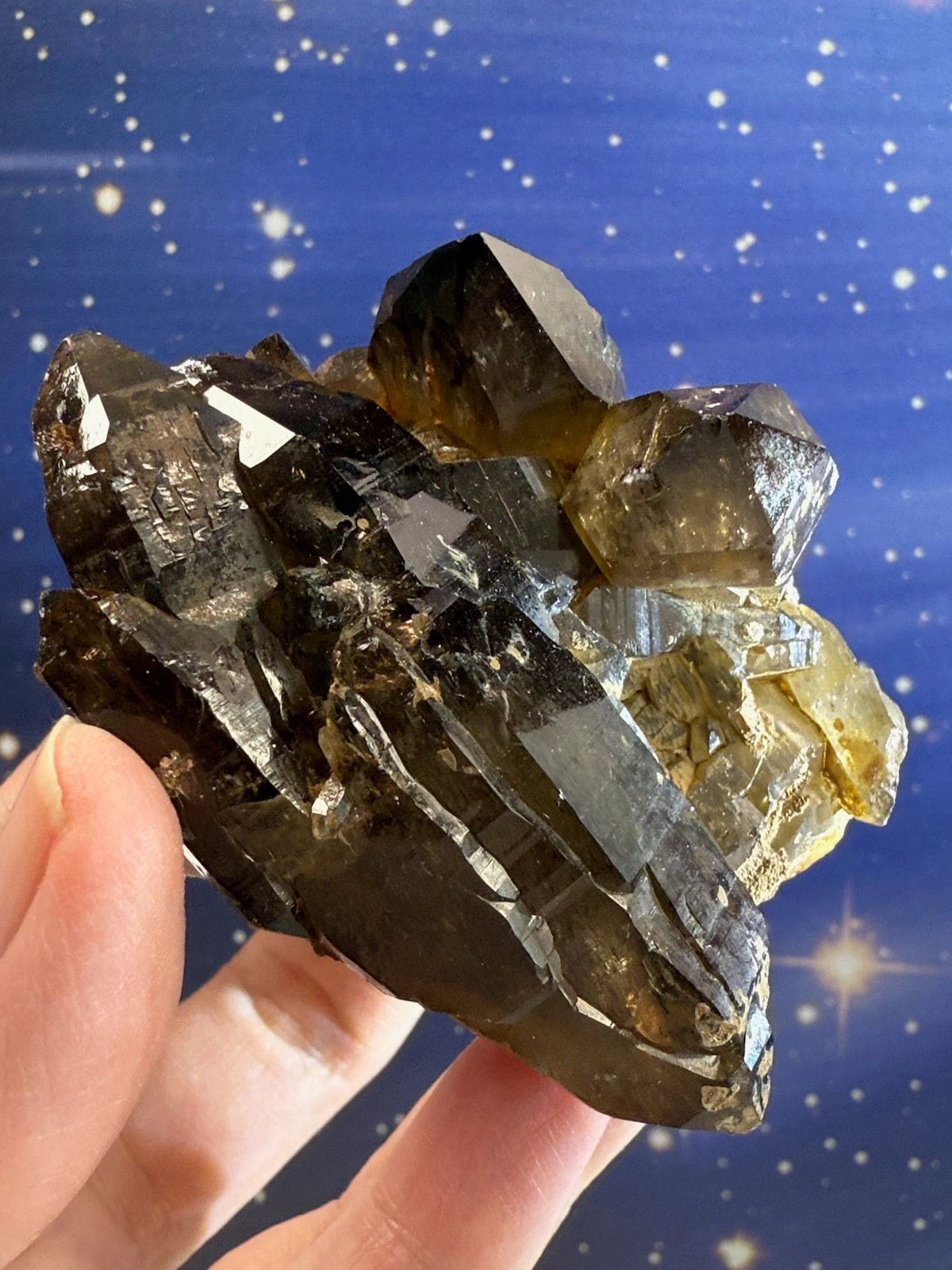 Natural Smokey Quartz Cluster