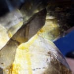 Natural Smokey Quartz Cluster