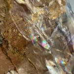 Natural Smokey Quartz with Black Tourmaline