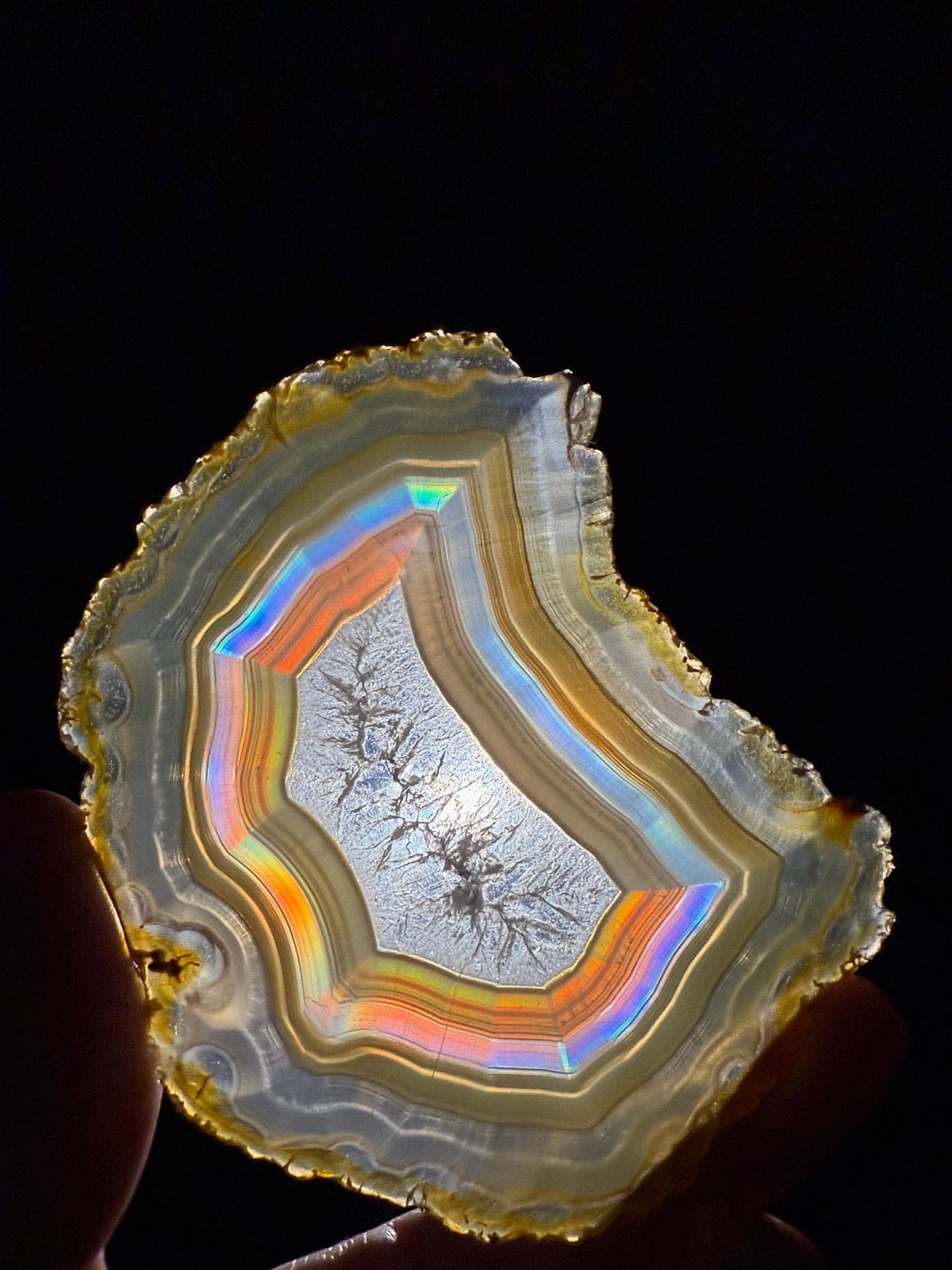 Rainbow Iris Agate C