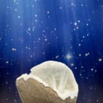 Scolecite Spray in Quartz Geode