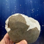 Scolecite Spray in Quartz Geode