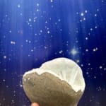 Scolecite Spray in Quartz Geode