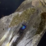Self Healed Clear Quartz