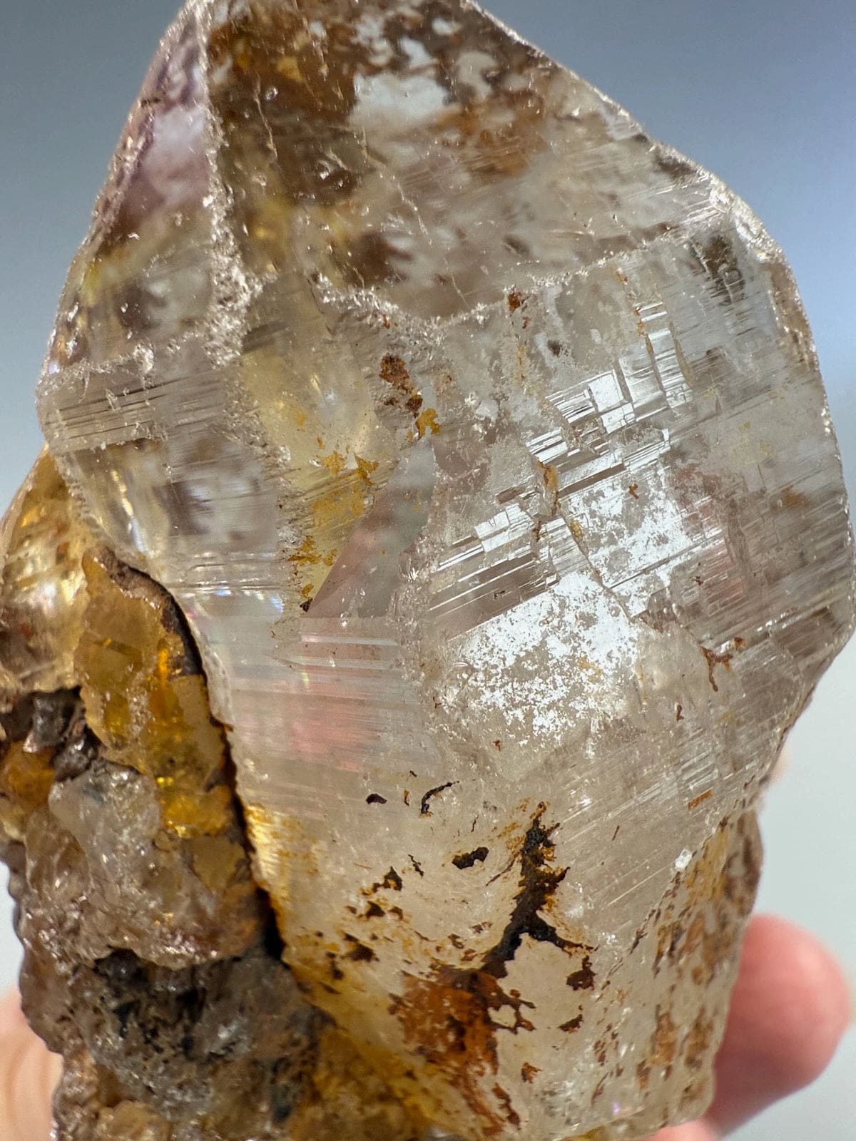Self Healed Golden Healer Quartz A